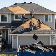 Removal and preparation Removal and preparation